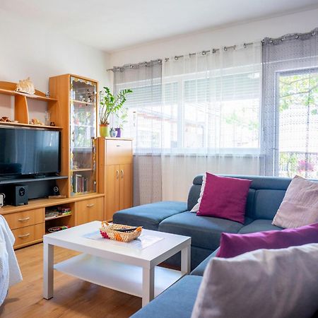 Apartment Arija زادار المظهر الخارجي الصورة
